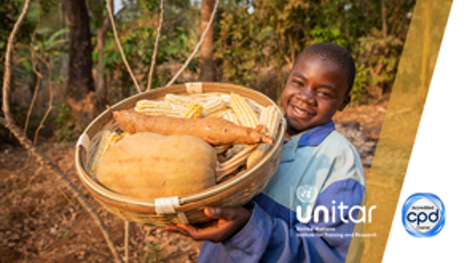 UN SDG 2 - Zero Hunger